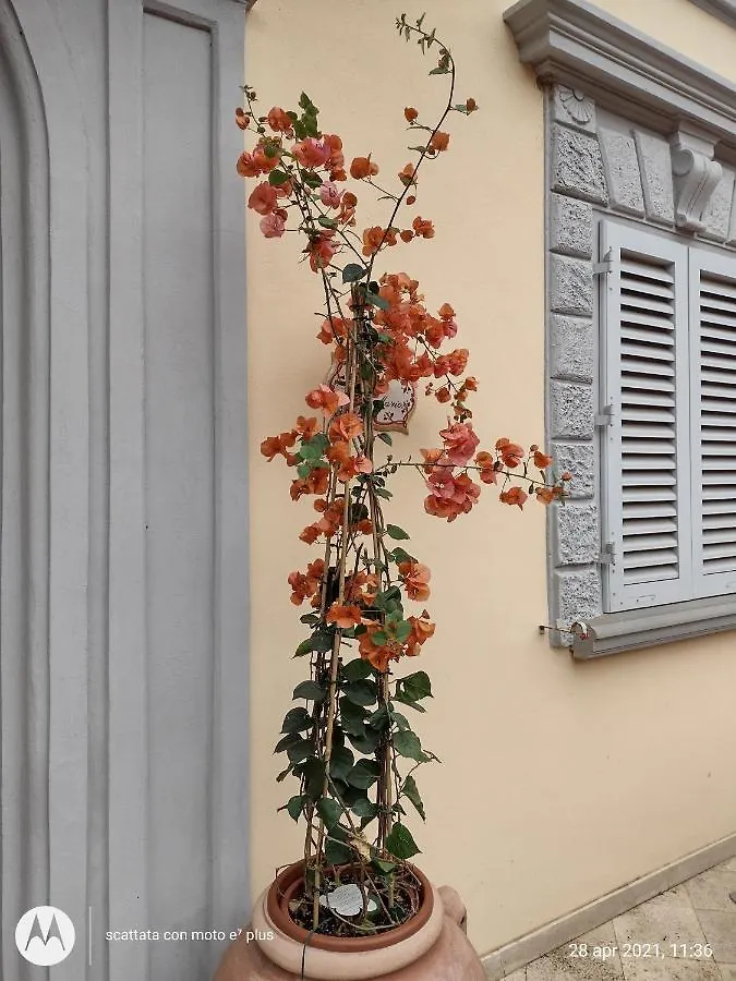Bercos Deluxe Apartment Prato  Italy
