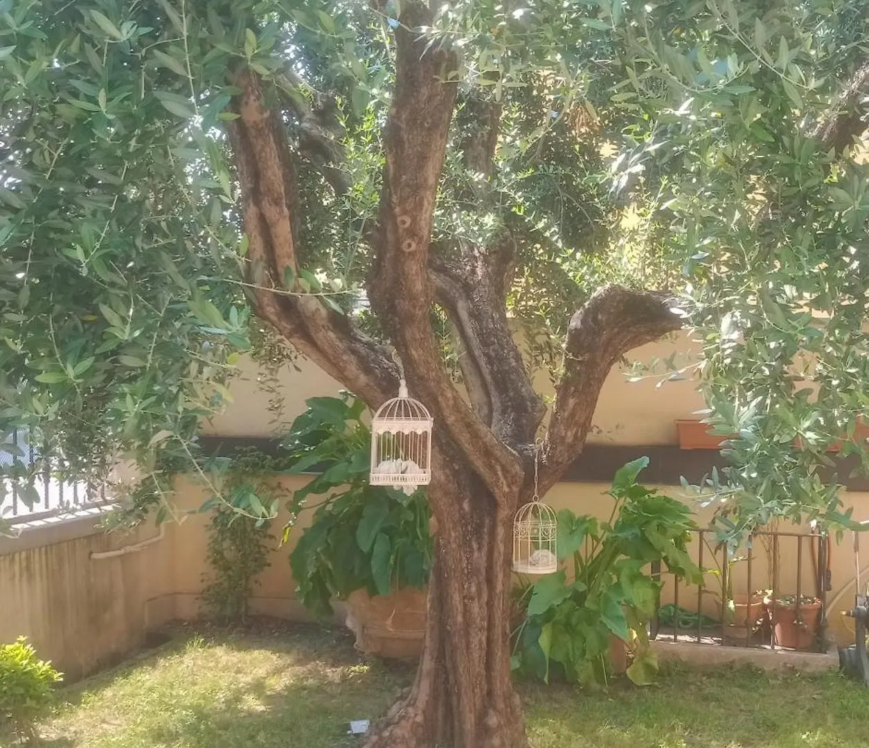 Appartement Bercos Deluxe à Prato